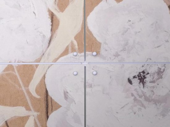 IXXI In the Light - Décoration murale - Fleurs et Plantes - 100 x 140 cm