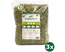 3x3 kg Bunny nature timothy hooi