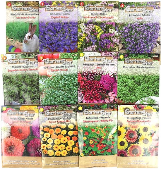 Meine Orangerie - Ihr Onlineshop für Mediterrane Pflanzen