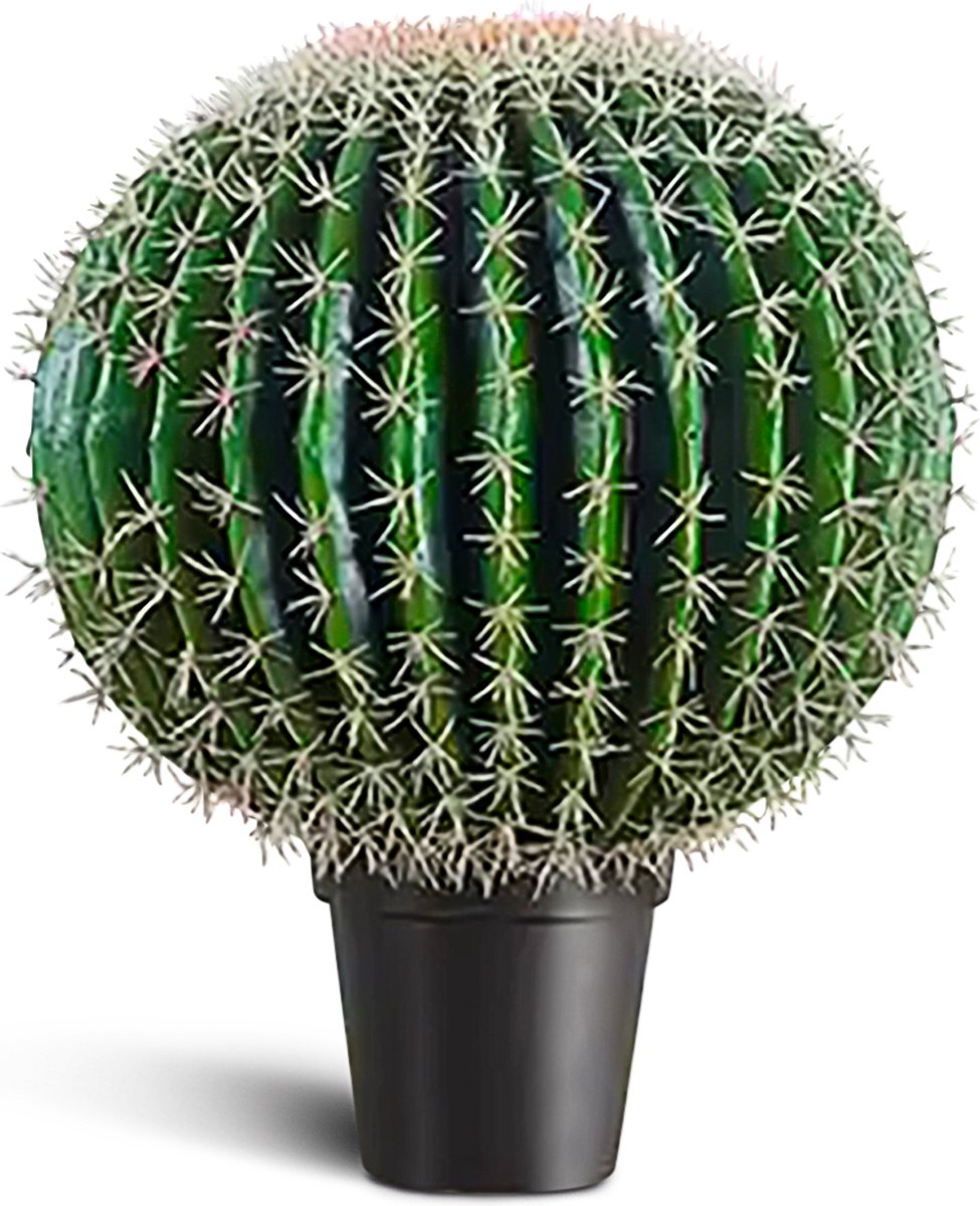 IvoQ Kunst Cactus 55 cm - Levensecht & Onderhoudsvrij - Stoere Kunstplant voor Binnen & Buiten