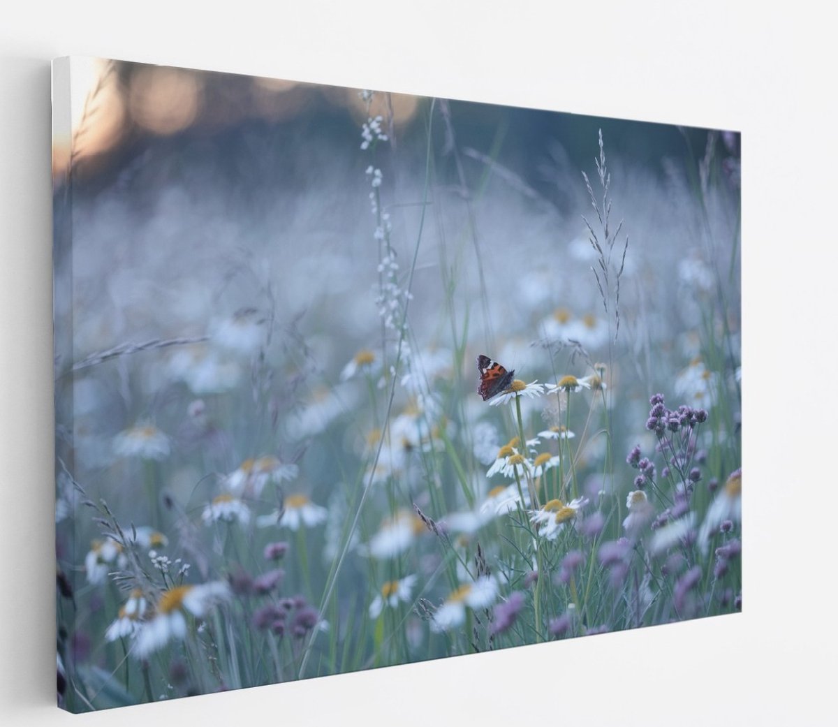 Saammp Canvas Schilderij - Vlinder in bloemenveld - Dieren - Natuur - 120x80 - Foto op canvas - Wanddecoratie - muurdecoratie Woonkamer - Slaapkamer decoratie - Canvas Print Multicolor