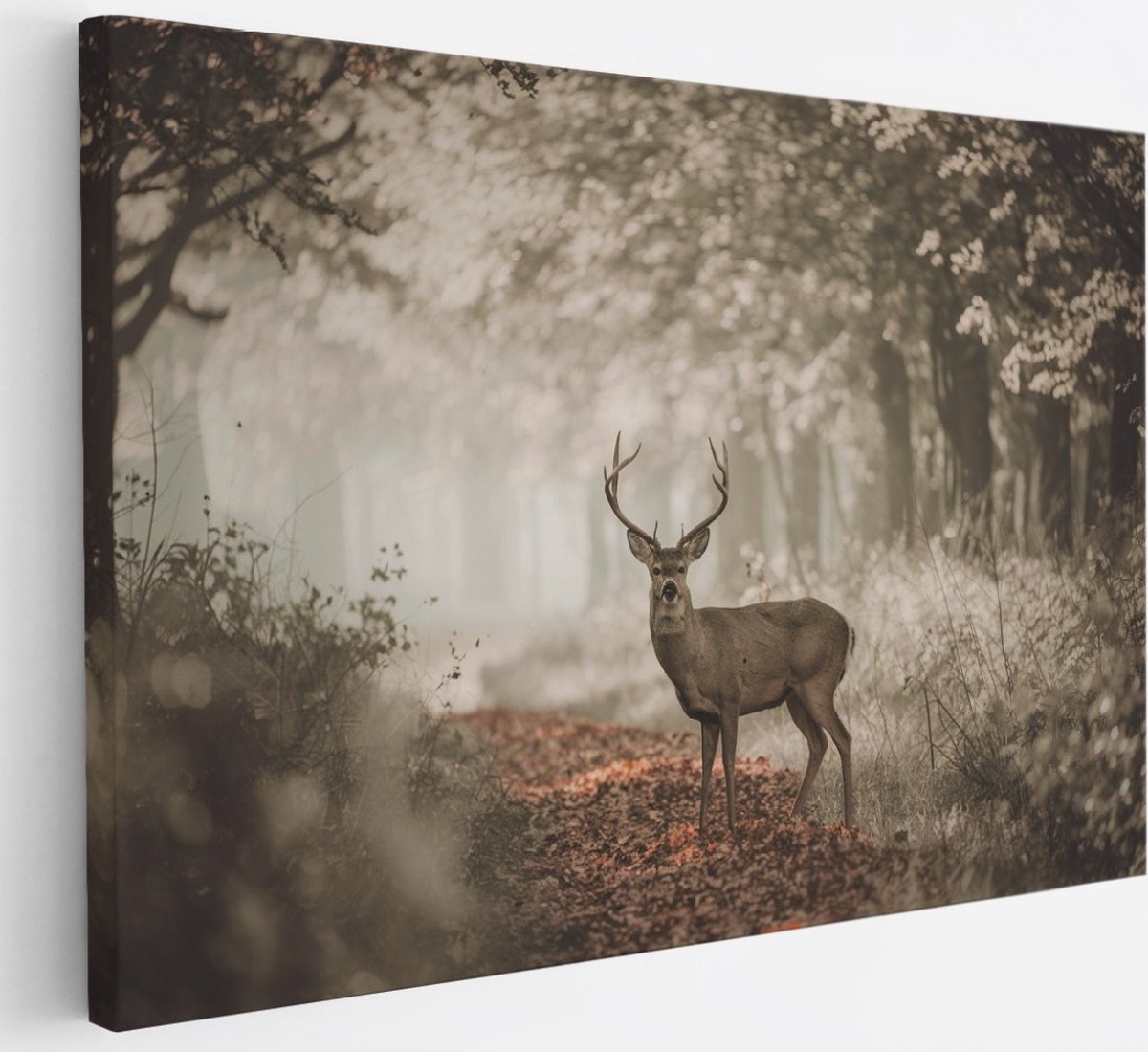 Saammp Canvas Schilderij - Hert in bos tijdens de lente - Natuur - Dieren - 30x20 - Foto op canvas - Wanddecoratie - Muurdecoratie Woonkamer - Slaapkamer decoratie - Canvas Print Multicolor