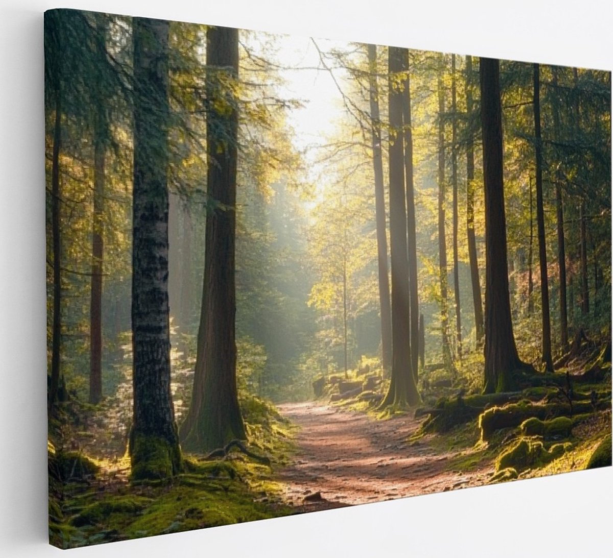 Saammp Canvas Schilderij - Natuur - Pad - Bos - landschap - 30x20 - Foto op canvas - Wanddecoratie - Muurdecoratie Woonkamer - Slaapkamer decoratie - Canvas Print Multicolor