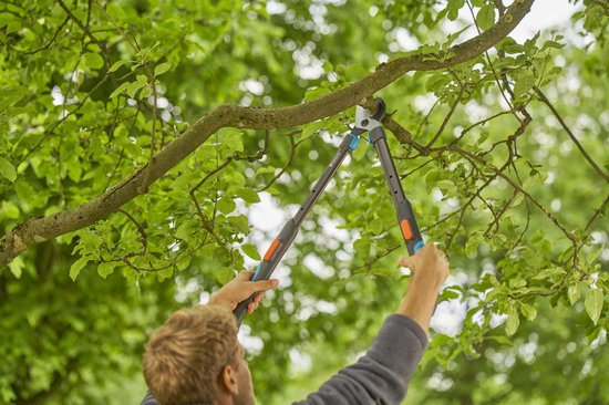 Man snoeit takken met een GARDENA Takkenschaar TeleCut Pro S in de hoogte.