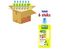 Mr. Propre Vloeibare Allesreiniger - Voor De Vloer - Met Bergamot Met Essentiële Oliën - Voordeelverpakking 6 x 1 L