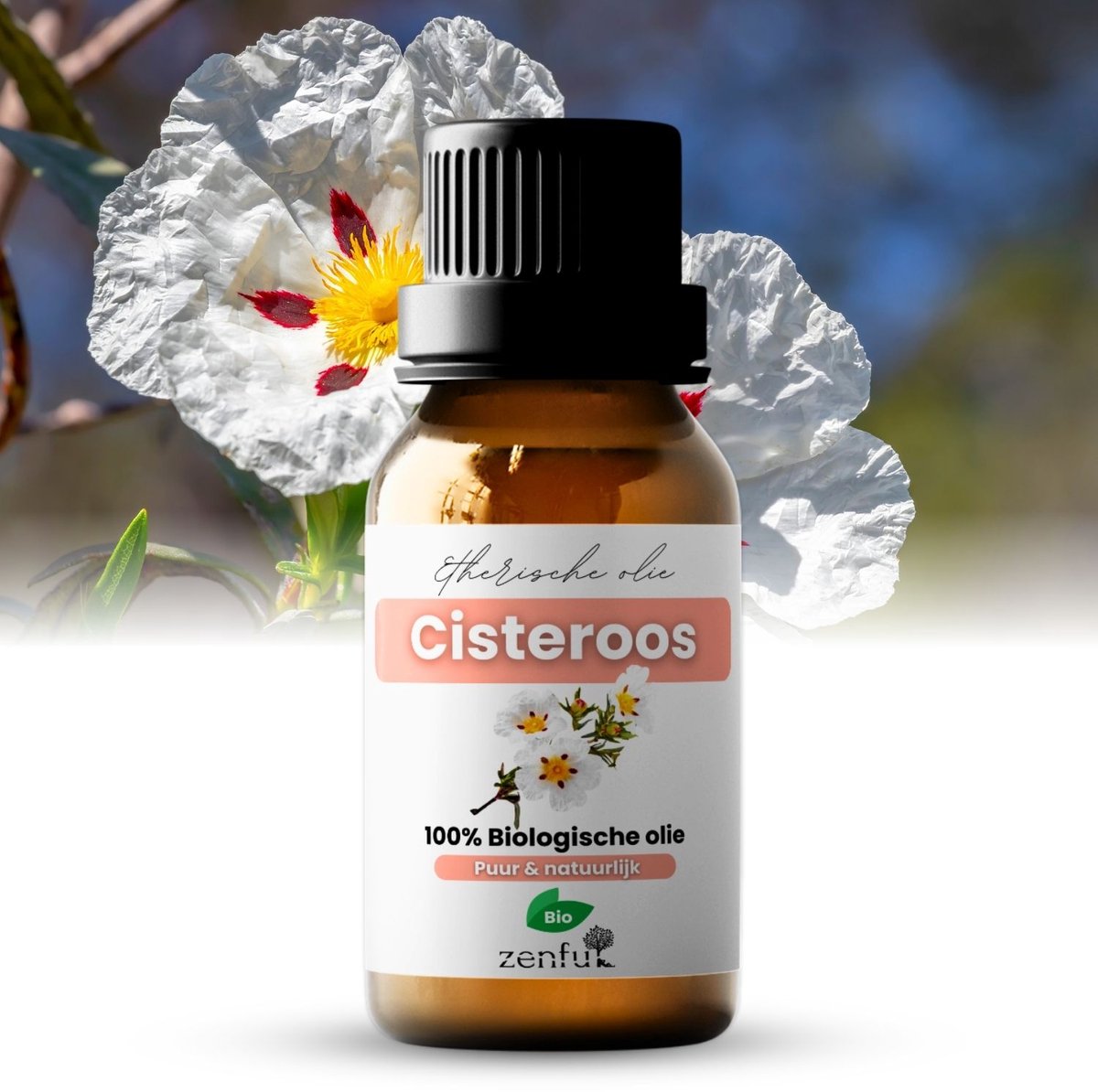 Goedkoopste Cisteroos Zonneroos olie - Etherische olie - 100 Biologisch - 5 ml