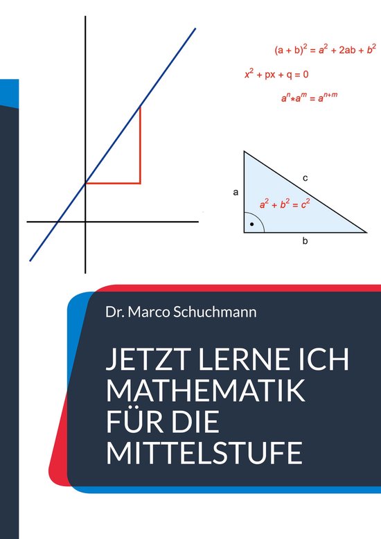 Jetzt lerne ich Mathematik für die Mittelstufe - cover