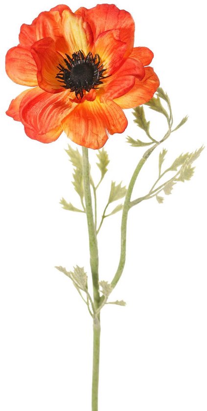 Driesprong Collection Anemoon Nora 1 Bloem H53 Cm Oranje Kunstbl Bol driesprong-collection-anemoon-nora-1-bloem-h53-cm-oranje-kunstbl-bol