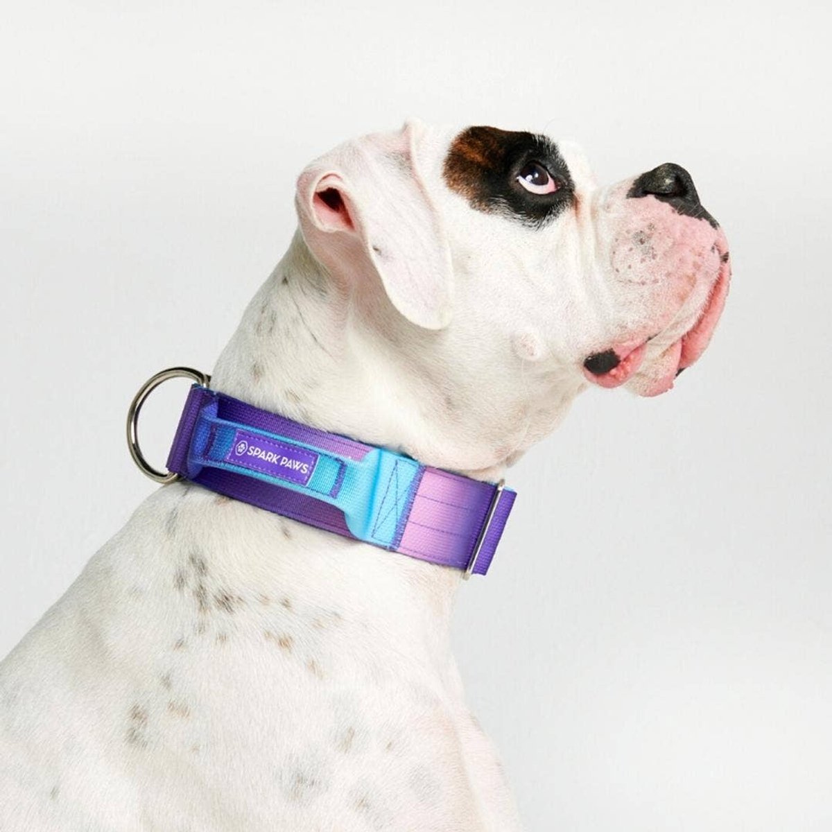 hundeleine und halsband Extra lange Hundeleine aus wasserfestem Nubukleder stufenlos verstellbar  Handsfree (2.5m) main image 0