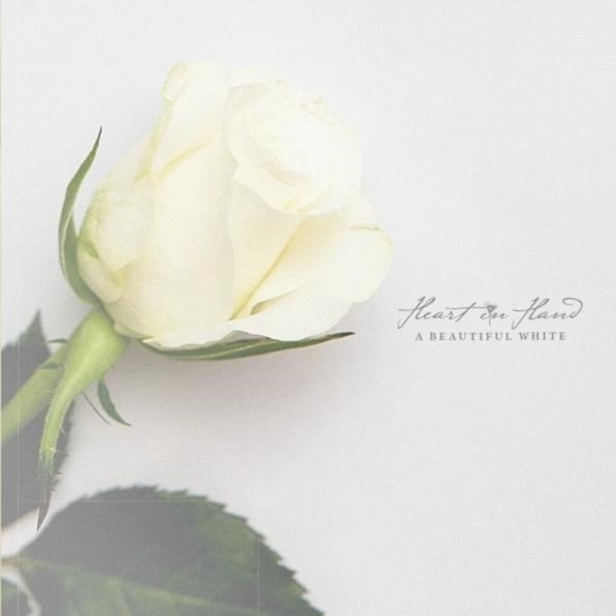 Heart In Hand - A Beautiful White (LP) (Coloured Vinyl)