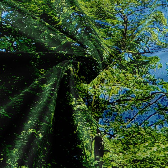 Ulticool - Arbres Forêt Nature Water Veluwe Pays- Nederland - Tapisserie - 200x150 cm - Groot tapisserie - Poster