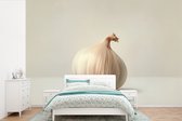 Behang - Fotobehang Knoflook - Natuurlijk - Beige - Breedte 390 cm x hoogte 260 cm