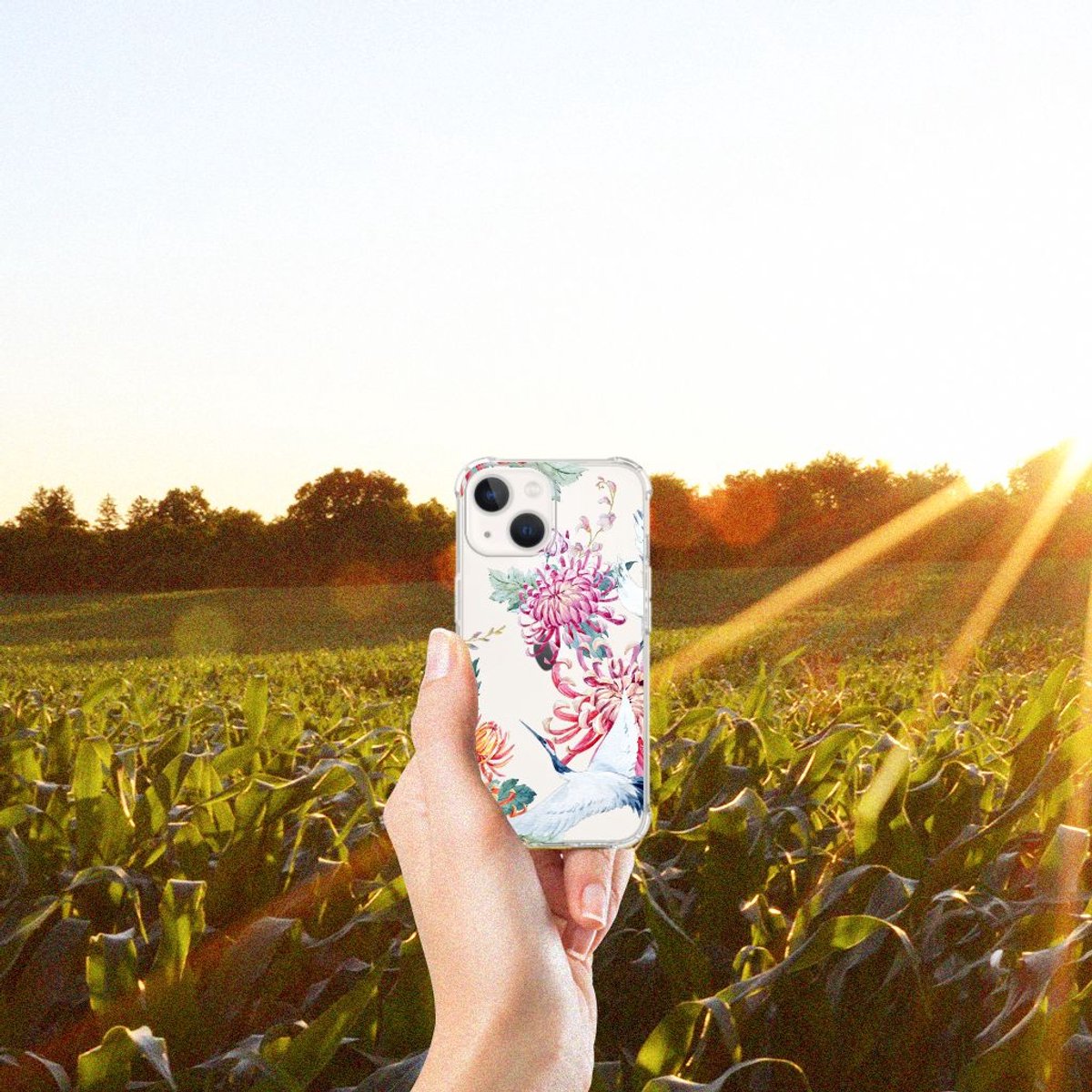 iPhone 13 mini Case Anti-shock Bird Flowers