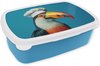 Boîte à pain bleue avec un toucan portant un bonnet de cuisinier sur le couvercle.
