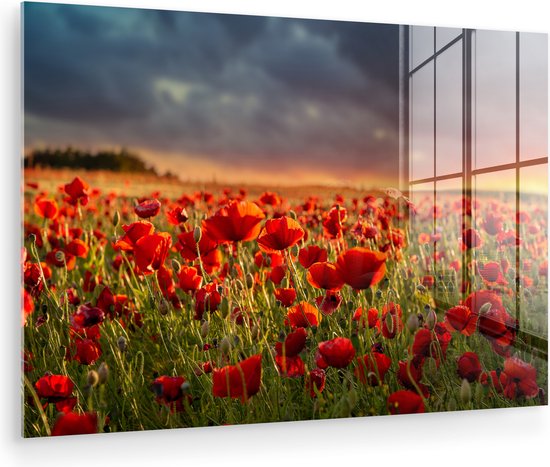 Glazen wandpaneel met een veld vol rode klaprozen bij zonsondergang met reflecties.