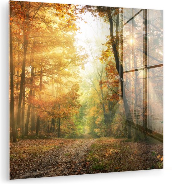 Een bosweg in de herfst met warme kleuren en zonnestralen door de mist.