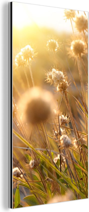 Décoration murale Métal - Peinture Aluminium Industriel - Plantes - Nature - Fleurs - Soleil - Horizon - 80x160 cm - Dibond - Photo sur aluminium - Décoration murale industrielle - Pour le salon/chambre