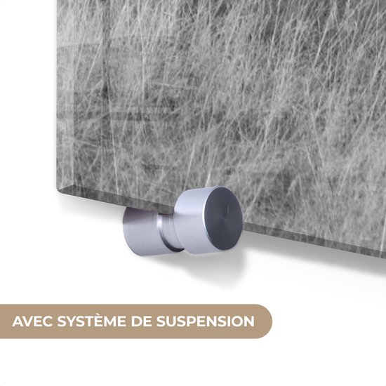 Peinture sur verre - Photo sur verre - Verre acrylique - Animaux - Paarden - Herbe - Nature - 120x180 cm - Peinture sur verre cheval - Peinture sur verre - Peinture sur verre animaux - Décoration murale - Chambre