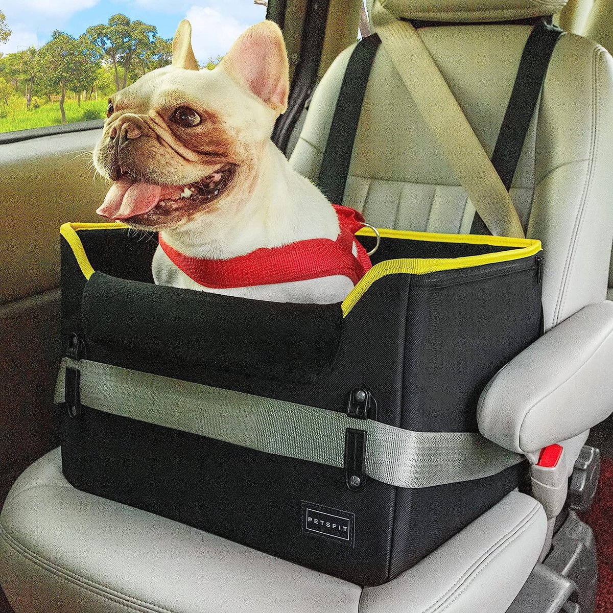 L'élianne ® : Siège d'auto de Luxe pour Chiens - Lit d'auto pour chien -  Siège d'auto