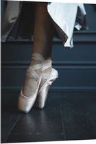 Acrylglas - Ballerina aan het Dansen op Spitzen - 80x120 cm Foto op Acrylglas (Met Ophangsysteem)