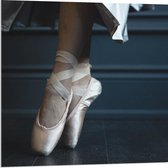 Acrylglas - Ballerina aan het Dansen op Spitzen - 80x80 cm Foto op Acrylglas (Met Ophangsysteem)