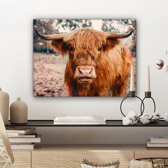 Tableau sur toile - Highlander - Animaux - Vache - Peintures salon - Décoration chambre - Toile toile - 40x30 cm