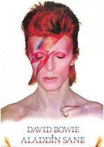 Affiche David Bowie Aladdin Sane 61 x 91,5 cm