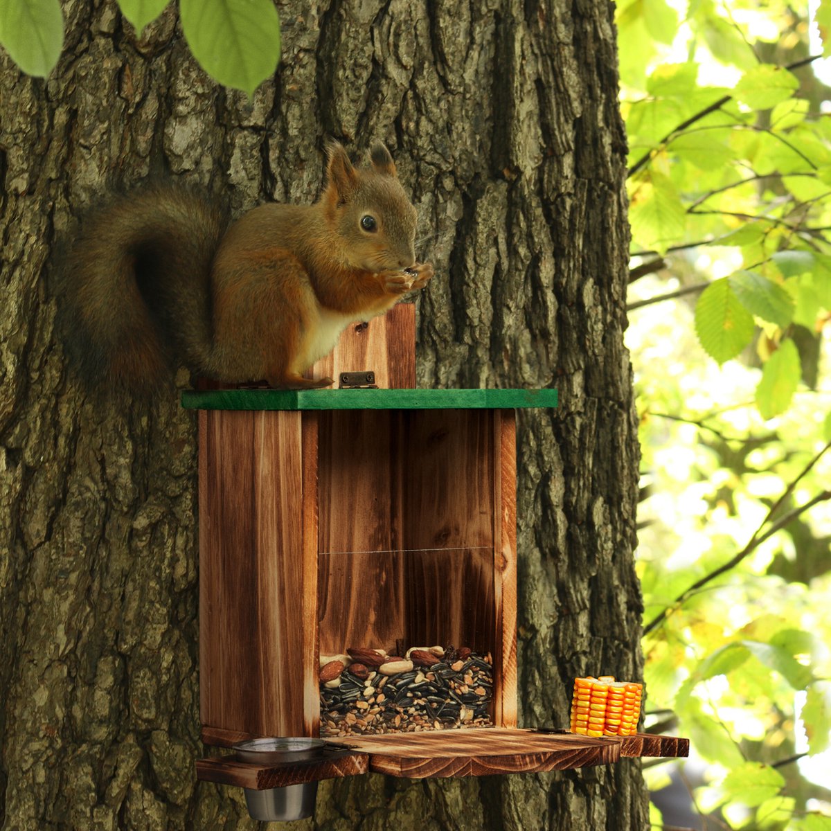 Mangeoire en métal pour écureuil - Webshop - Matelma