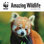 WWF Amazing Wildlife Kalender 2024