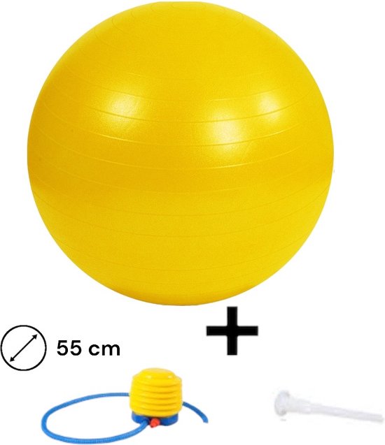 VirtuFit Anti-Burst Fitnessbal Pro met Balhouder - Grijs - 75 cm