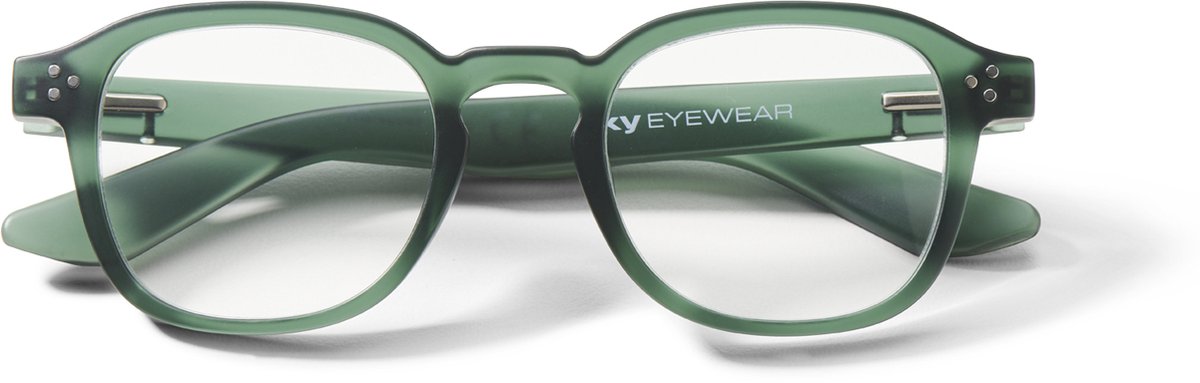 IKY EYEWEAR leesbril RG-4004F groen +1.00