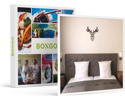 Bongo Bon -2 Dagen Brussel Bij Hôtel De Fierlant In Sint-gillis- Cadeaukaart