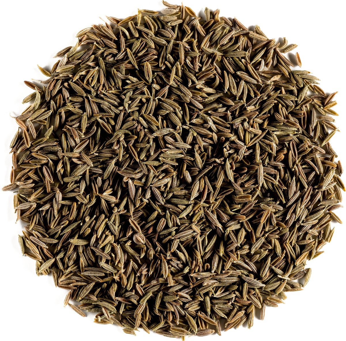 Goedkoopste Karwij Zaden Bio Culinaire Kwaliteit - Caraway Hele Zaad Kummel Gourmet Kruiden Thee- BE-BIO-01