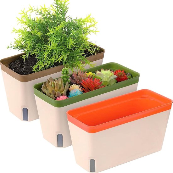 6 Stuks Bonsai Schalen, 16 x 12 x 6 cm Pot Met Trays, Kunststof, Herbruikbaar, Geschikt Voor Tuinen, Binnenplaatsen, Kantoren, Woonkamer, Balkons (Zwart 6 Stuks Bonsai Schalen, 16 x 12 x 6 cm Pot Met Trays, Kunststof, Herbruikbaar, Geschikt Voor Tuinen, Binnenplaatsen, Kantoren, Woonkamer, Balkons (Zwart