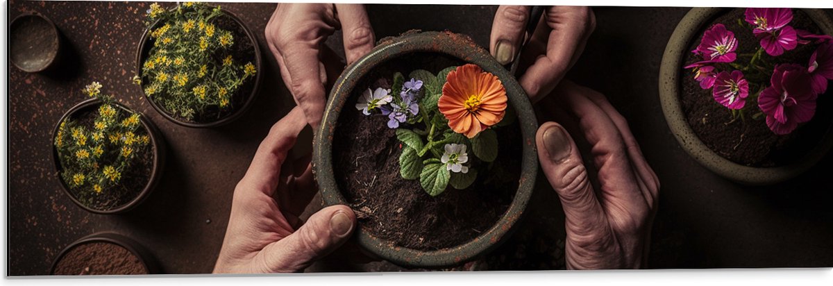 Dibond - Bloemen - Bloempot - Potgrond - Handen - 90x30 cm Foto op Aluminium (Met Ophangsysteem)