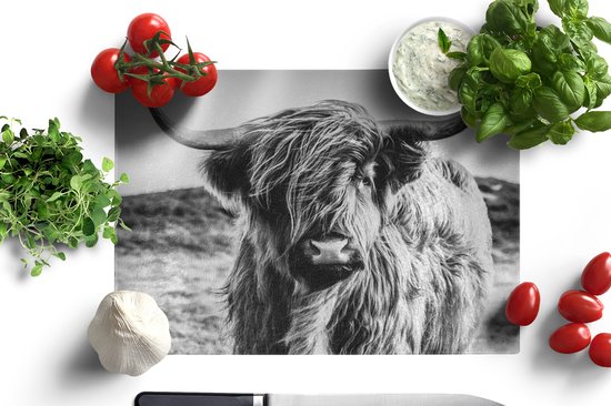 Planche à découper en Verres - 39x28 - Scottish Highlander - Nature - Vache - Zwart - Wit - Planches à découper en Glas