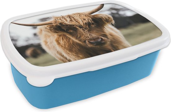 Boîte à lunch Blauw - Boîte à lunch - Boîte à pain - Scottish Highlander - Vache - Herbe - Animaux - Nature - 18x12x6 cm - Enfants - Garçon