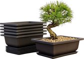 6-delige Bonsai Oefenpotten Set met Dienbladen | Duurzame Kunststof Bonsai Kweekpotten | Ideaal voor Tuin, Balkon & Interieur - 16 x 12 x 6 cm