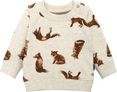 Noppies Boys sweater Toulon long sleeve allover print Jongens Trui - Oatmeal - Maat 80