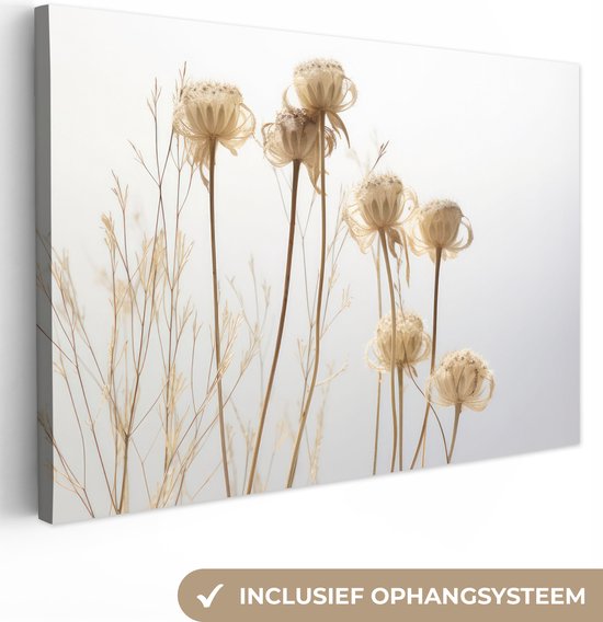 Canvas schilderij 120x80 cm - Wanddecoratie Droogbloemen - Natuur - Botanisch - Muurdecoratie woonkamer - Slaapkamer decoratie - Kamer accessoires - Schilderijen op canvas
