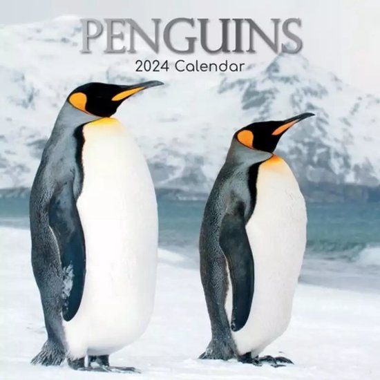 Pinguin Kalender 2024  bol
