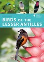 Helm Wildlife Guides- Birds of the Lesser Antilles