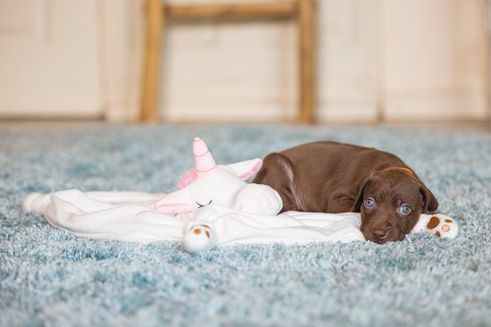 Beeztees Puppy Cuddle Cloth Unicorn - Jouets pour chien - Peluche - Wit - 33x25x14 cm