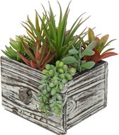Kunstplant vetplanten, kunstplanten in pot, decoratieve plant, kamerplant, ideaal voor balkon, kantoor, badkamer, decoratie