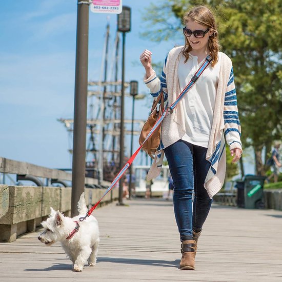 Laisse pour courir avec son chien - mains libres