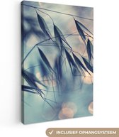 Canvas - Schilderij - Bloemen - Close up - Planten - Natuur - 80x120 cm - Canvas woonkamer - Muurdecoratie