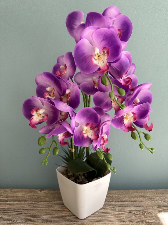 Orchidée Violet Fleur Artificielle Avec Pot Witte 55cm | Flora Ville |  Fleur... | bol