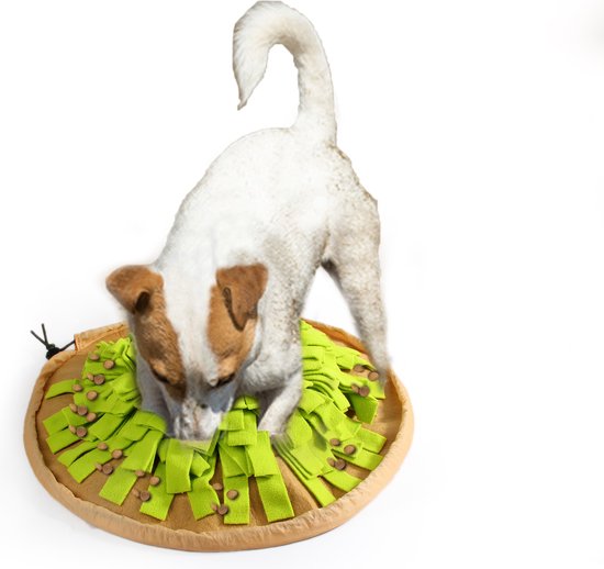Jack Russell terrier speurt in een ronde bruine voer-mat met groene stroken en brokjes.