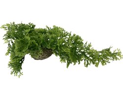 Aqua Della - Aquariumplanten Kunststof - Vissen - Hangend Mos 5cm Gemengde Kleuren - 1st