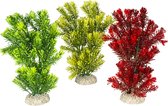 Aqua Della - Aquariumdecoratie - Vissen - Plant Canadensis M - Height 23cm Gemengde Kleuren - 1st